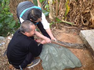 ����������^(q��)һ��������������򡱱���ץ�@