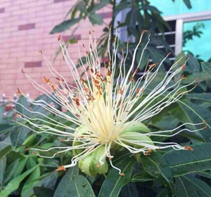 ���˽�̻��@һ�ðl(f��)ؔ(c��i)��(sh��)�_(k��i)���Y(ji��)��