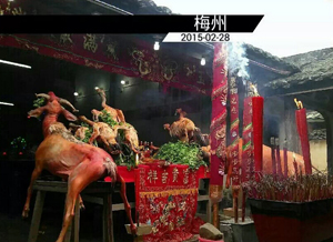 ���o��Ӣ�Žֵ�����҂��ĵ����@�î������[